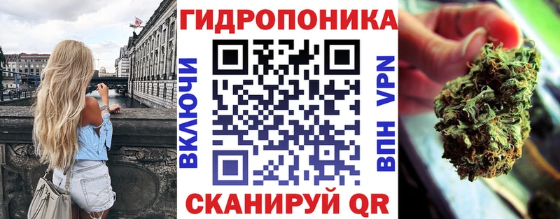 Канабис сатива  МЕГА зеркало  Онега 